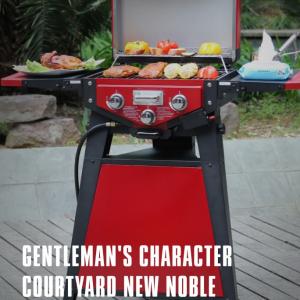 Wholesale Thunderbird Portable Gas Grill For Outdoor Cooking And Grilling from china suppliers