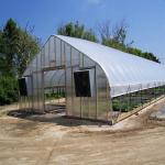 500m2 Garden Gothic Greenhouse Poly Film Stong Wind Resistance For Tomatoes
