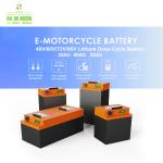 60 Volt Electric Bicycle Lithium-Ion Battery 72V 20ah 30ah/40ah Battery Pack Li