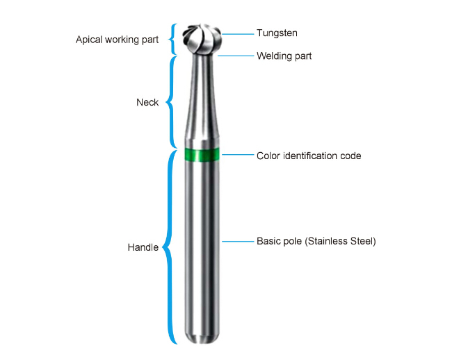 Tungsten Carbide Burs For Smooth Or Polish Root Canal High Speed #FG