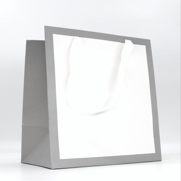Wholesale Luxury Gift Printing Shopping Tote Paper Bag Recyclable Jewelry Toys