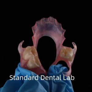 Wholesale High Esthetics Dental TCS Valplast Flexible Partial Dentures Dental Lab pink shade from china suppliers