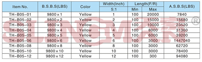 High Strength Flat Polyester WSTDA-1- HP / ASME B30.9 / NAVFAC P-307Eye And Eye web slings
