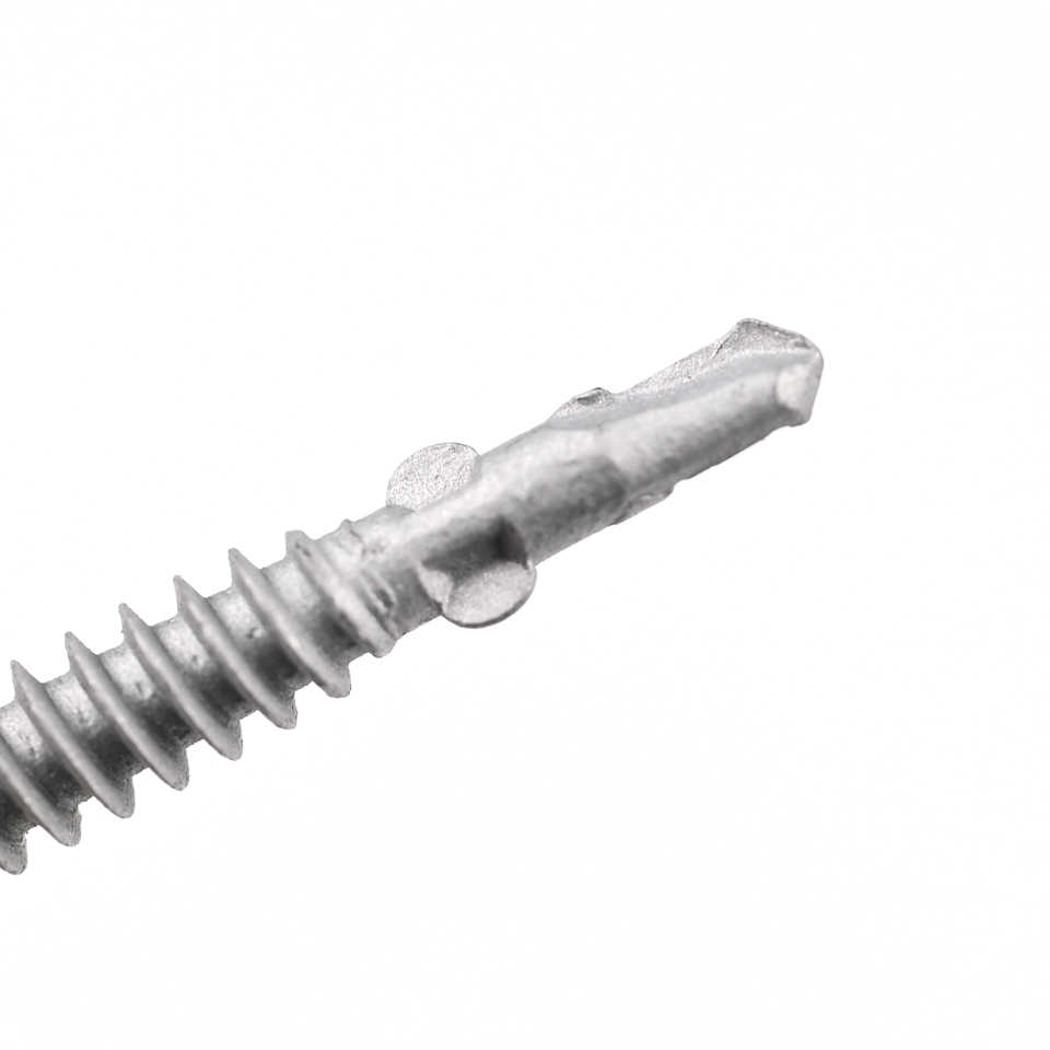 Standard Custom Screw Stainless Steel Phillips Truss Head Self Drilling Screw Tapping Screw