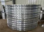 50mm 100mm Forged Steel Flange PN 40 RF NK SO WN C22 8 PN25 Gas Industry