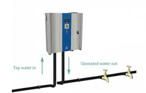 Wholesale Aquaculture Water Ozone Generator 10g Air Water Purifier For Sterilization from china suppliers