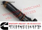 K19 KTA19 Common Rail Injector 3095773 4307427 3042245
