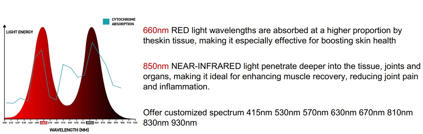 600w Red Led Optics Infrared Light Face Therapy Device For Relief Skin Tightening Lamp