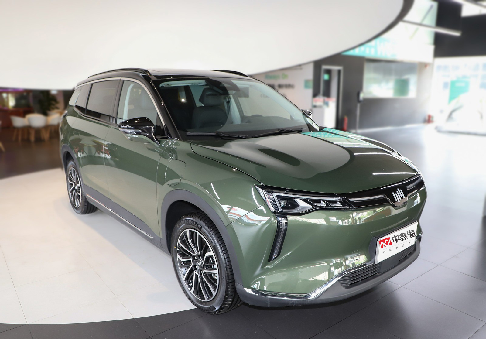 China's hot selling mid-size SUV WM Motor WM W6 2021 520km PRO Discovery Edition