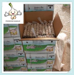 Wholesale Normal White Garlic (Red Garlic Price) top grade garlic with lowest price from china suppliers