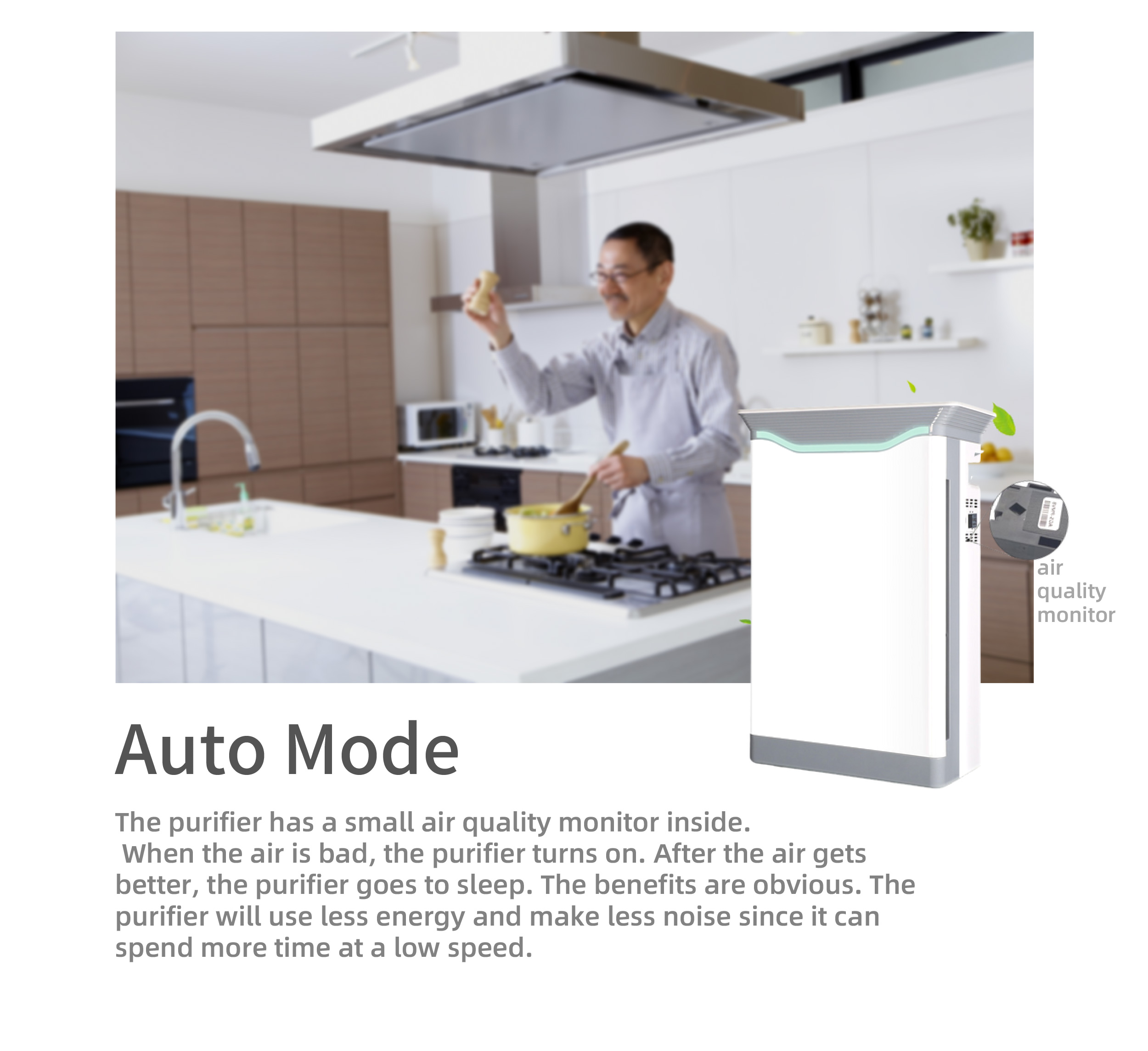 HOMEFISH Negative Ion Household Air Purifier UVC Luftreiniger 220V