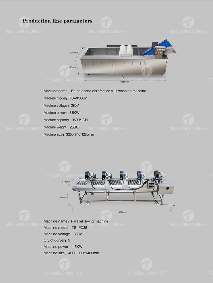 Customized Driven Pesticide Exclude Vegetable Processing Line , Centrifuging Tomato Processing Line