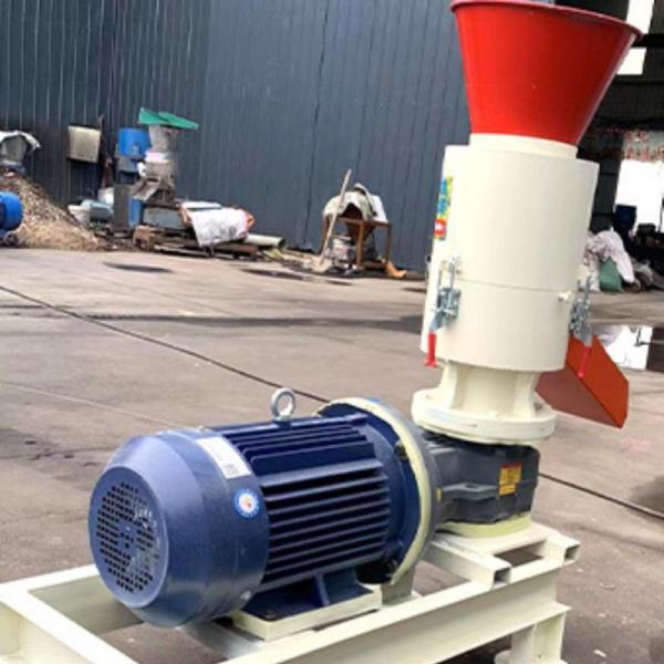 Professional Pellet Mill Machine for Large-scale Biomass Fuel Production Feed