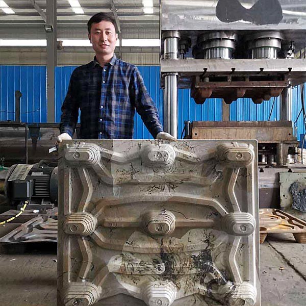 India Automatic Plastic Tray Forming Making Machine