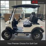 Carbon Steel Frame Electric Off Road Golf Cart 2 Seater Capacity Strength