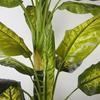 Artificial Golden Dieffenbachia Plant 43 Inch Tall Fake Tropical Lifelike Tree
