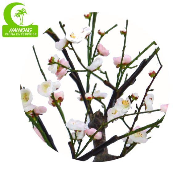CHERRY BLOSSOM TREE