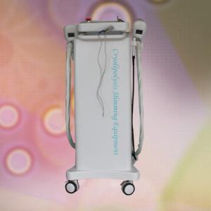 Wholesale Cavitation RF Cryolipolysis Slimming Beauty Machine 1800W For Fat Freeze from china suppliers