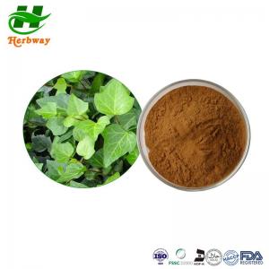 Wholesale HPLC 10%Hederacoside C CAS 14216-03-6 Ivy Leaf Extract Hvederahelix L from china suppliers