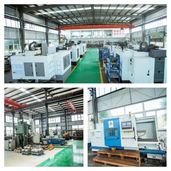 TDS150 Twin Screw Extruder Kneading Block Screw Elements HRC58-62