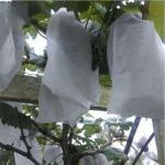 Greenhouse Nonwoven 40gsm Fabric Fruit Protection Bag
