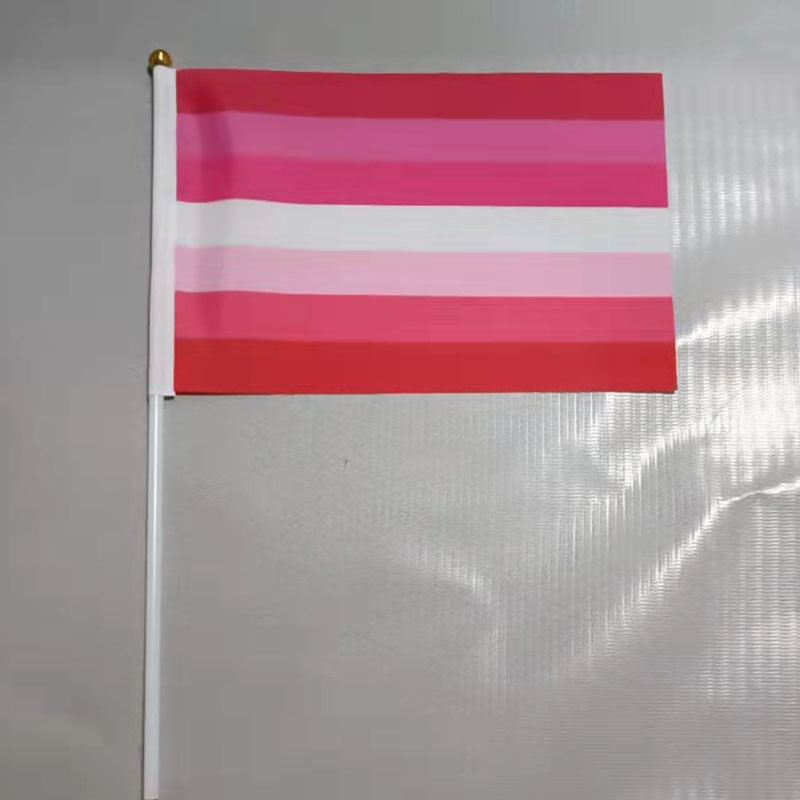 YaoYang LGBT Flag Hand Held Pride Rainbow Flag Small Mini