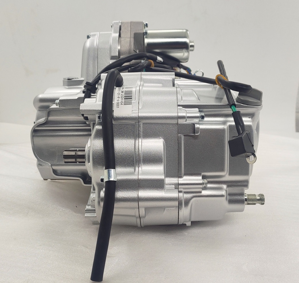 125CC Nature Water-Cooled Motorcycle Three Wheel Cargo Tricycle Engine Assembly Silver