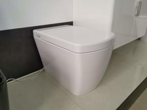 Wholesale Electric Bathroom One Piece Toilet , Smart Bidet Toilet Female Washing from china suppliers