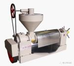 High Oil Yield Screw Oil Press Machine Coconut Sesame Seeds Oil Extraction Press