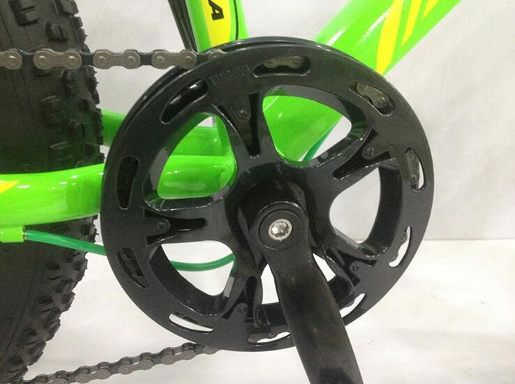 Private Label Snow Sand 4.0 Fat Tyre Electric Bicycle