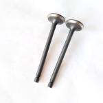 KA24D Machinery Parts Engine Valve For Car Engine Parts 13201-53F02 13202-53F00