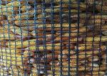 Raw Material Polypropylene Plastic Color Black Length 50m Biaxial Plastic