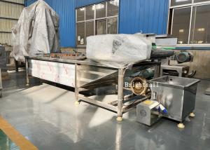 Wholesale Food Industry Fruit Vegetable Chili Air Bubble Washing Machine from china suppliers