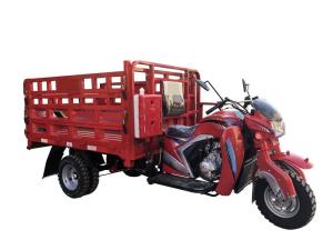 Wholesale Adult 250CC Cargo Tricycle Open Body Type 1700 * 1250mm Drum Brake 60km/H Max Speed from china suppliers
