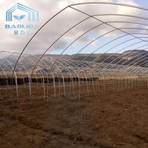 Wholesale Agriculture Plants Growing Farming Polyethylene Film Single Span Tunnel Plastic Greenhouse from china suppliers