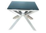 Stainless Stylish Corner Table , Square Black Painted Dining Table Brushed Legs