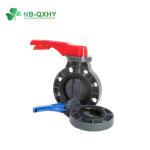 PVC UPVC CPVC Plastic Pipe Fitting Coupling 2 Piece Ball Valve Union Butterfly