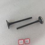 Electrical Equipment Parts For Nissan CA18 CA20 Intake Valve & Exhaust Valve