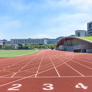 Wholesale Permeable Sandwich System Running Track For Sports Venues Durable from china suppliers