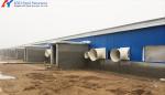 Steel Frame Piggery Shed Construction Long Span Steel Poultry Buildings