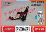 095000-6590 095000-6591 095000-6593 23670-E0010 Common Rail Injector For Hino