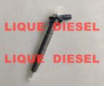 BOSCH Piezo injector 0445116017 , 0445116018 , 0 445 116 017 , 0 445 116 018 ,