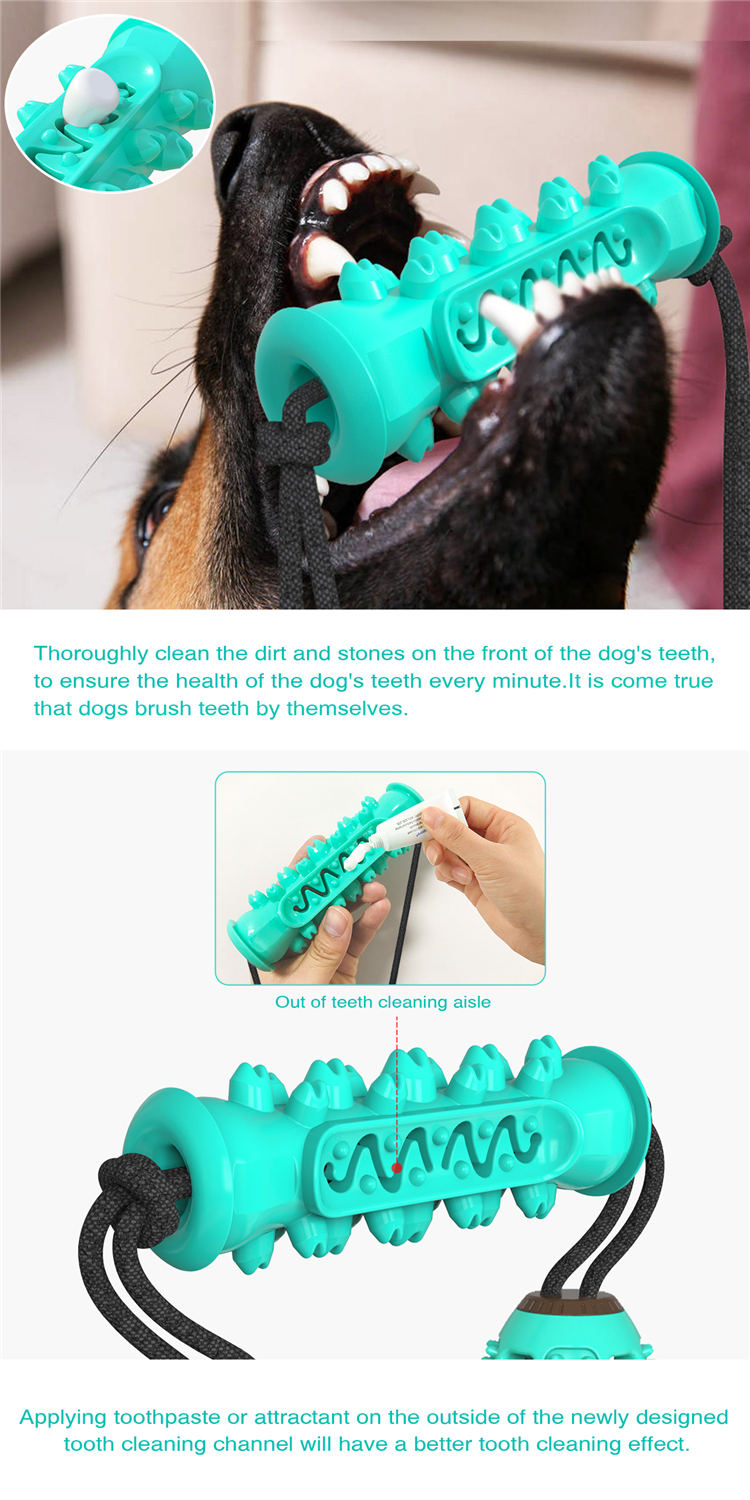 2021 Top Selling Funny Interactive Puppy Teeth Cleaning Chew Toy Dog Toothbrush Toy