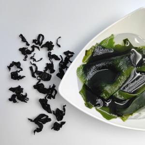 Wholesale Healthy &amp; Delicious: Soft Wakame, Rich Green Color – Boost Salads, Stir-Fries, and Broths from china suppliers