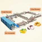 Automatic Production Line for Farms Snack Food Cassava Potato Plantain and