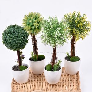 Wholesale Mini Potted Plants for Sale from china suppliers