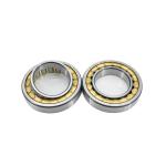 Construction Works N2309EM Cylindrical Roller Bearing 45*100*36mm Perfect for