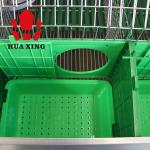 Industrial Rabbit Breeding Cage Automatic Equipment Mother Baby Rabbit Poultry