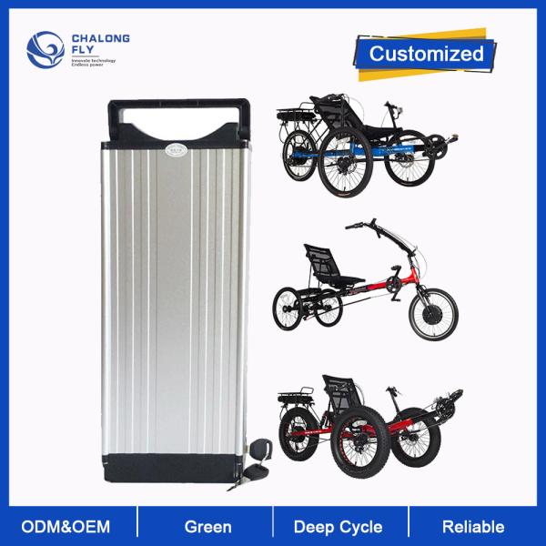 LiFePO4 Lithium Battery Custom 24V 36V 48V Recumbent Electric Trike Battery 20AH