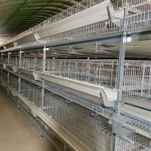 Wholesale Hot Dipped Galvanized Chicken Farm Cage 5 Layers / Cell from china suppliers